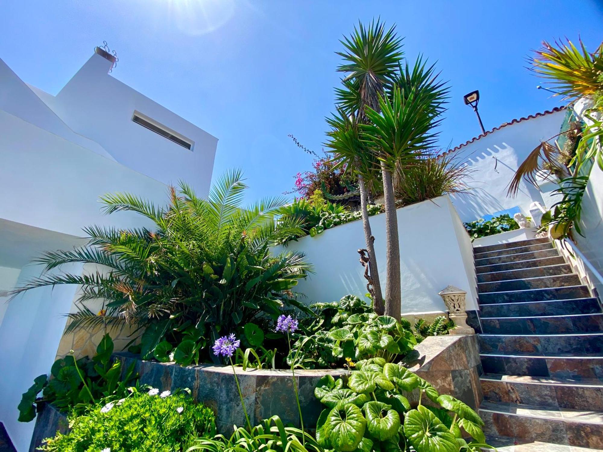 Villa Oasis La Paz - Pelinor Studio - Adults Only Puerto de la Cruz  Exterior foto