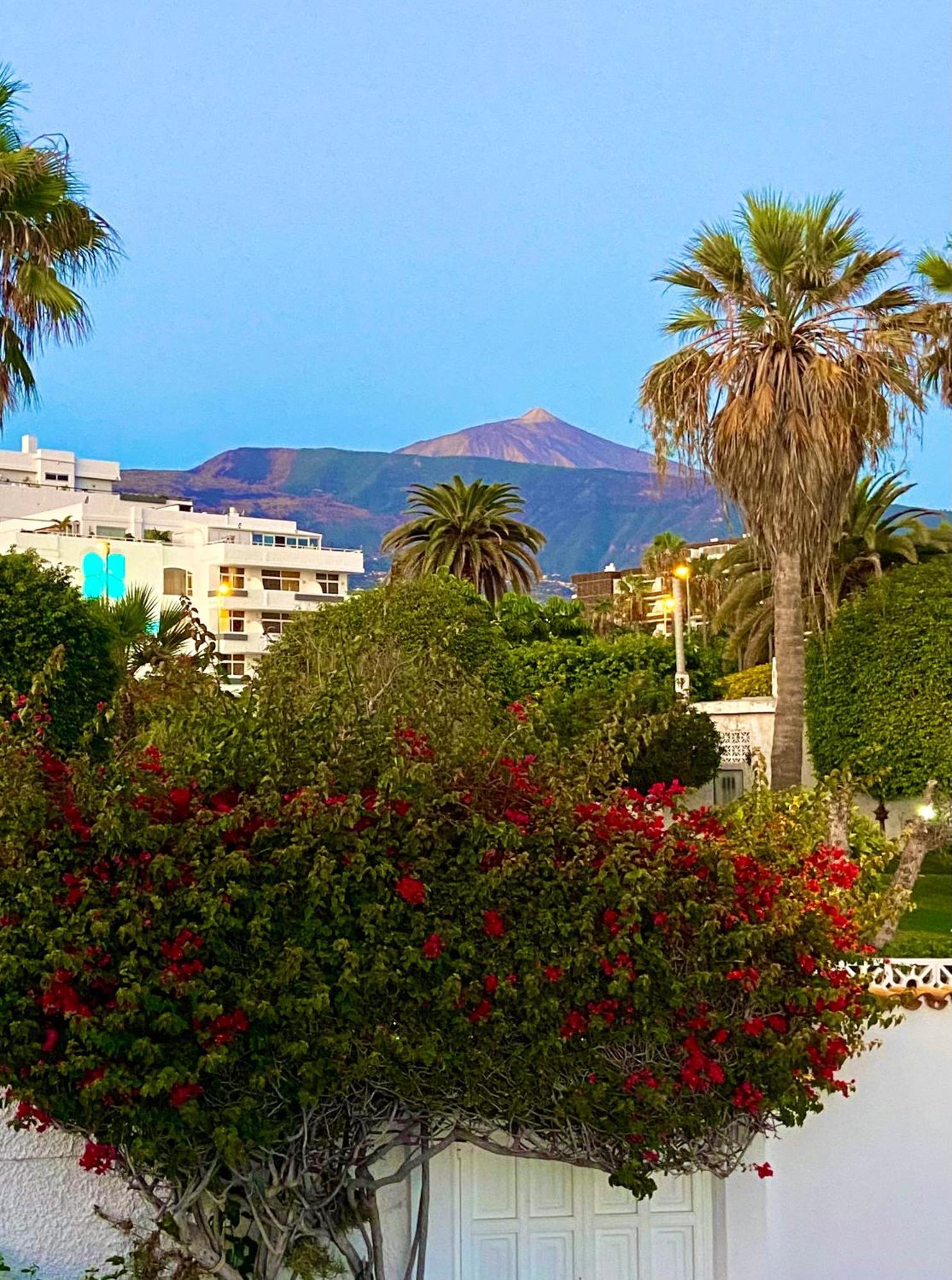 Villa Oasis La Paz - Pelinor Studio - Adults Only Puerto de la Cruz  Exterior foto